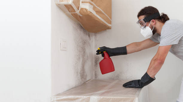 Professional Basement Mold Remediation technician working in Aspers, PA