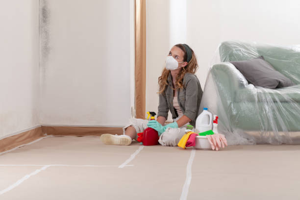 Reliable Basement Mold Remediation contractor in Aspers, PA by WQB Mold Removal